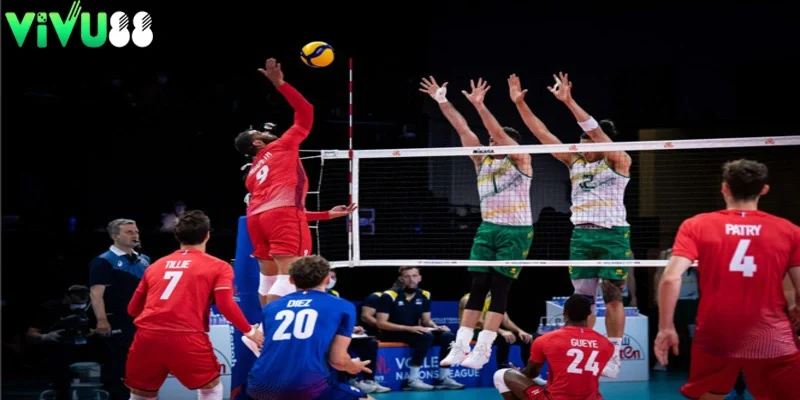 cá độ bóng chuyền