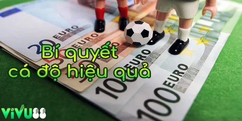 cách cá độ bóng đá luôn thắng