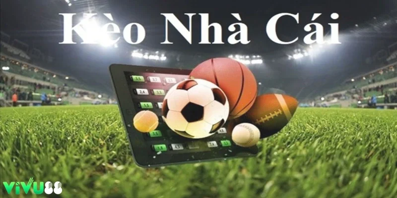 giải mã kèo nhà cái
