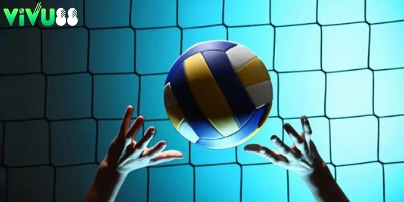 Giới thiệu về cá độ bóng chuyền