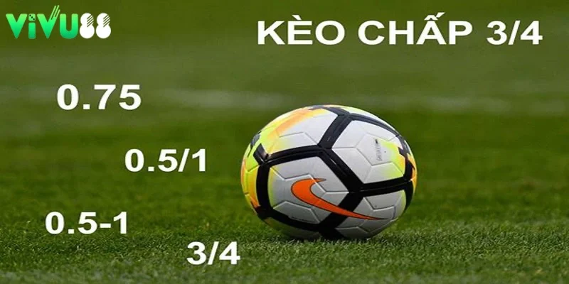 Phân tích và có những đánh giá kỹ cho trận đấu