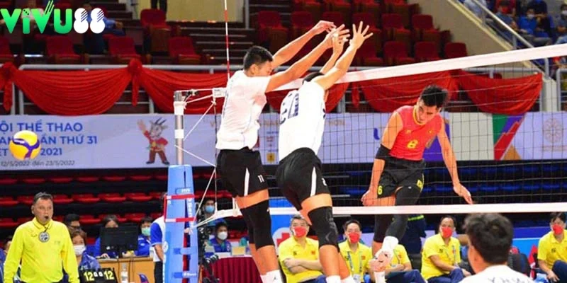 Tìm hiểu về cá độ bóng chuyền online