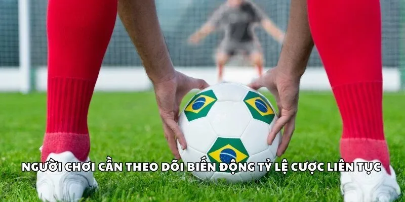 Người chơi cần theo dõi biến động tỷ lệ cược liên tục