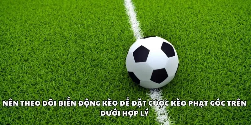 Nên theo dõi biến động kèo để đặt cược kèo phạt góc trên dưới hợp lý